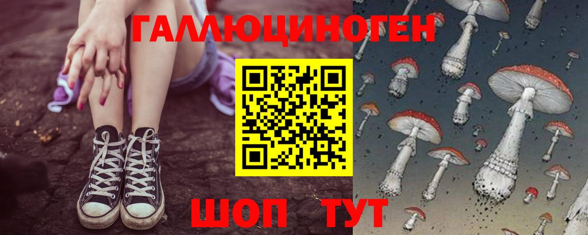 Галлюциногенные грибы GOLDEN TEACHER Новотроицк